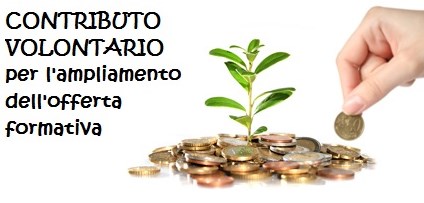 Contributo Volontario Contributo volontario